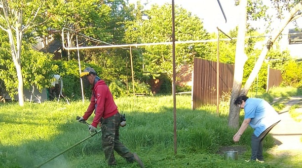 В Центральном округе продолжается борьба с амброзией 