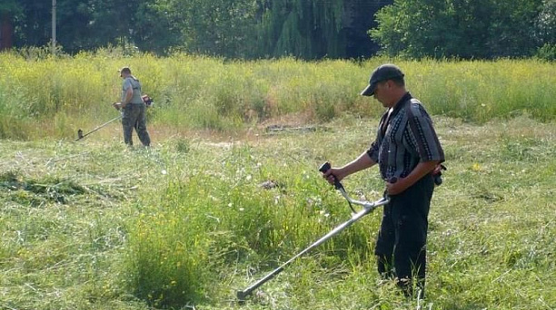 Около четырехсот гектаров сорной растительности выкосили в Центральном округе