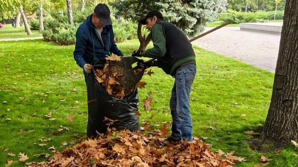 Улицы и парки Краснодара очищают от опавшей листвы