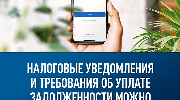 28,5 млн физических лиц выбрали возможность получения налоговых уведомлений в электронной форме 