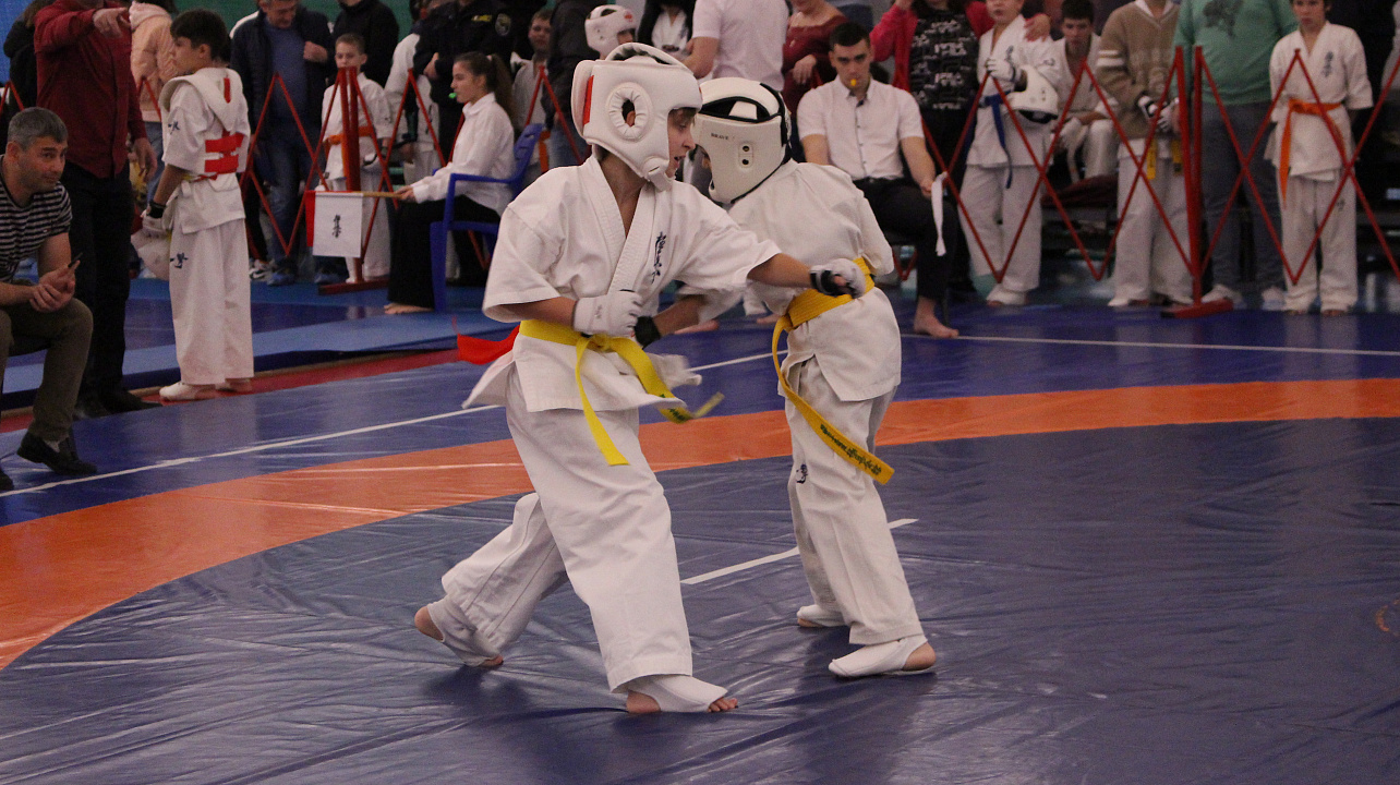 50 комплектов наград разыграли в Краснодаре на открытых городских спортивно-патриотических соревнованиях по киокусинкай