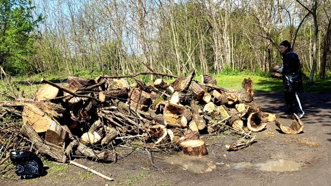 С Острова Масленицы в Краснодаре вывезли 42 кубометра мусора