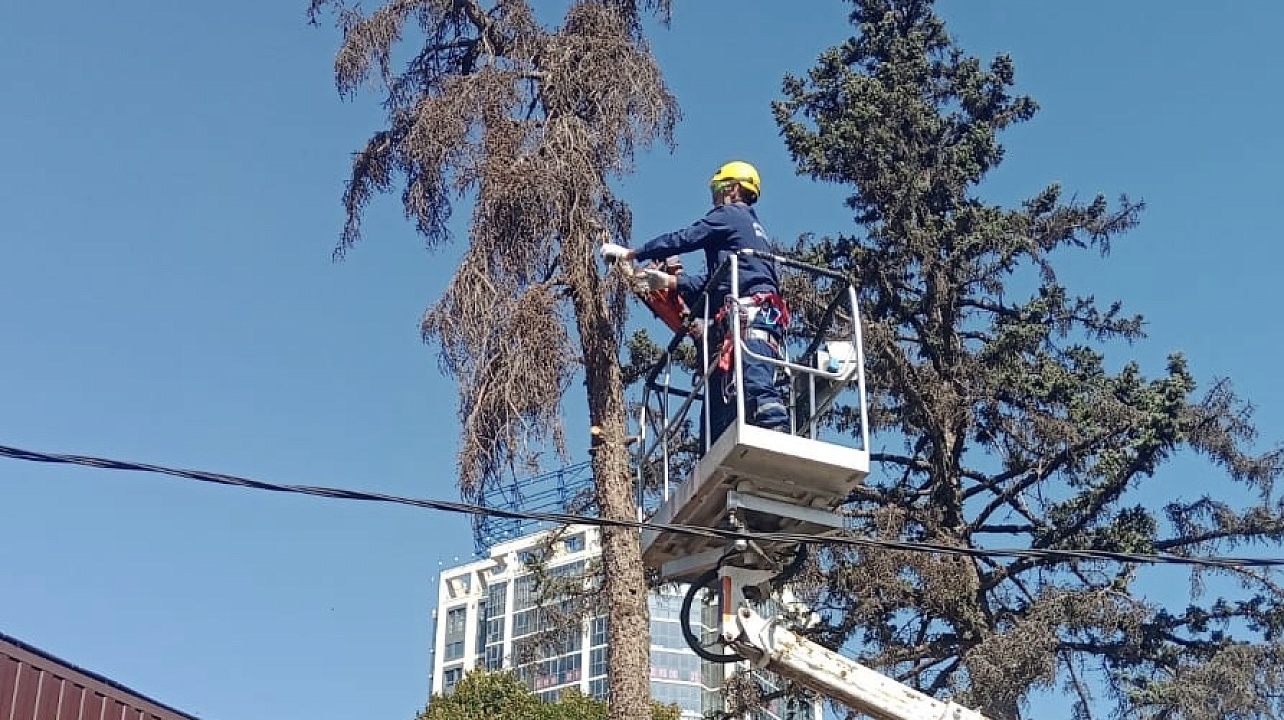 Фото: пресс-служба администрации Краснодара