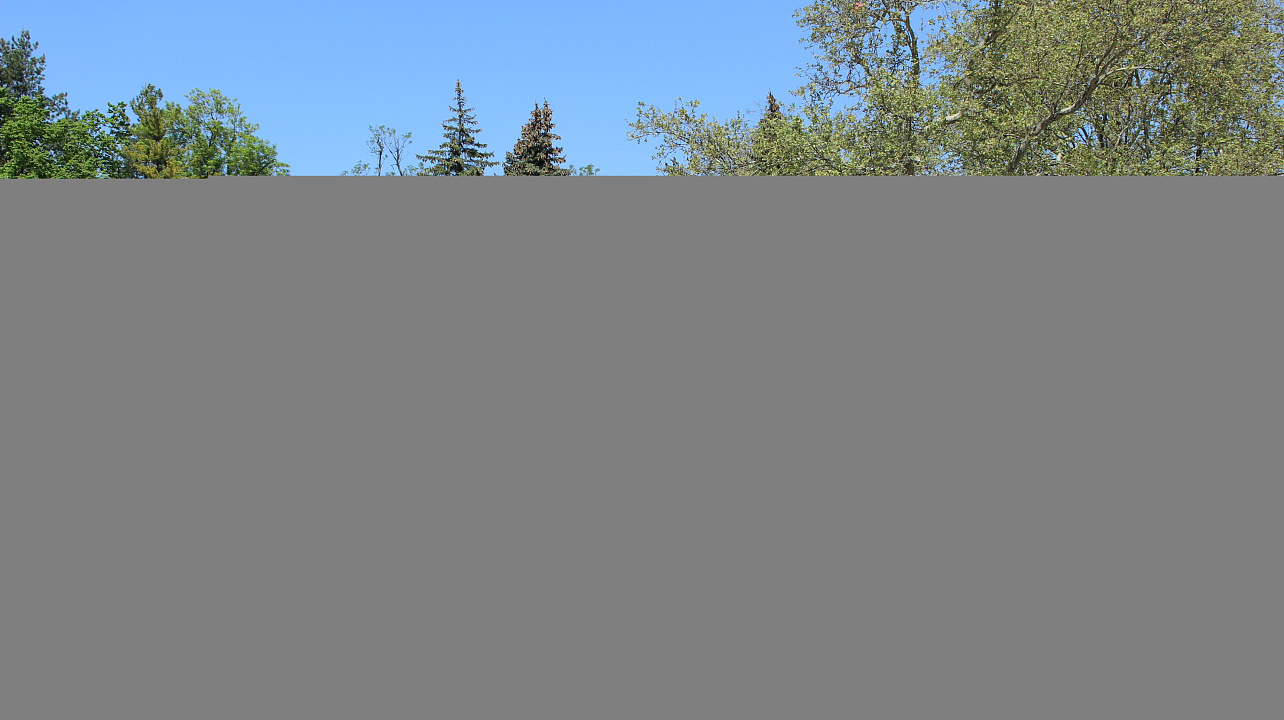 Мир! Труд! Май!