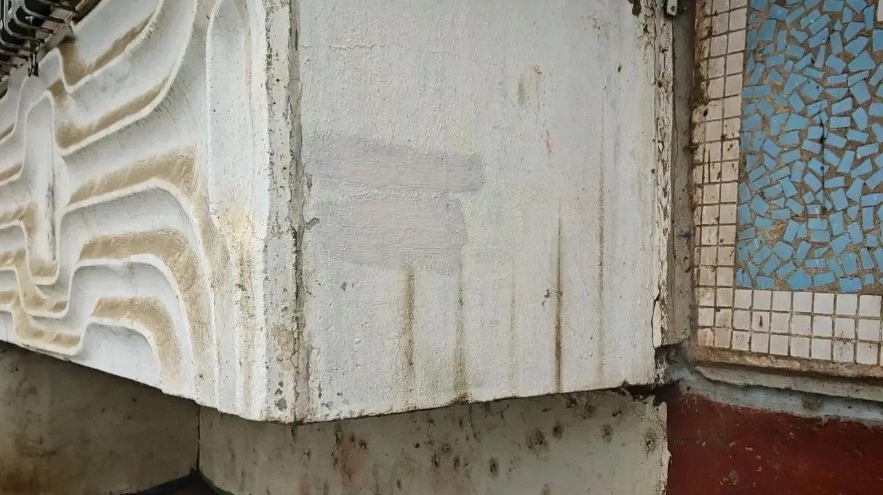 Фото: Молодежный Совет Карасунского округа