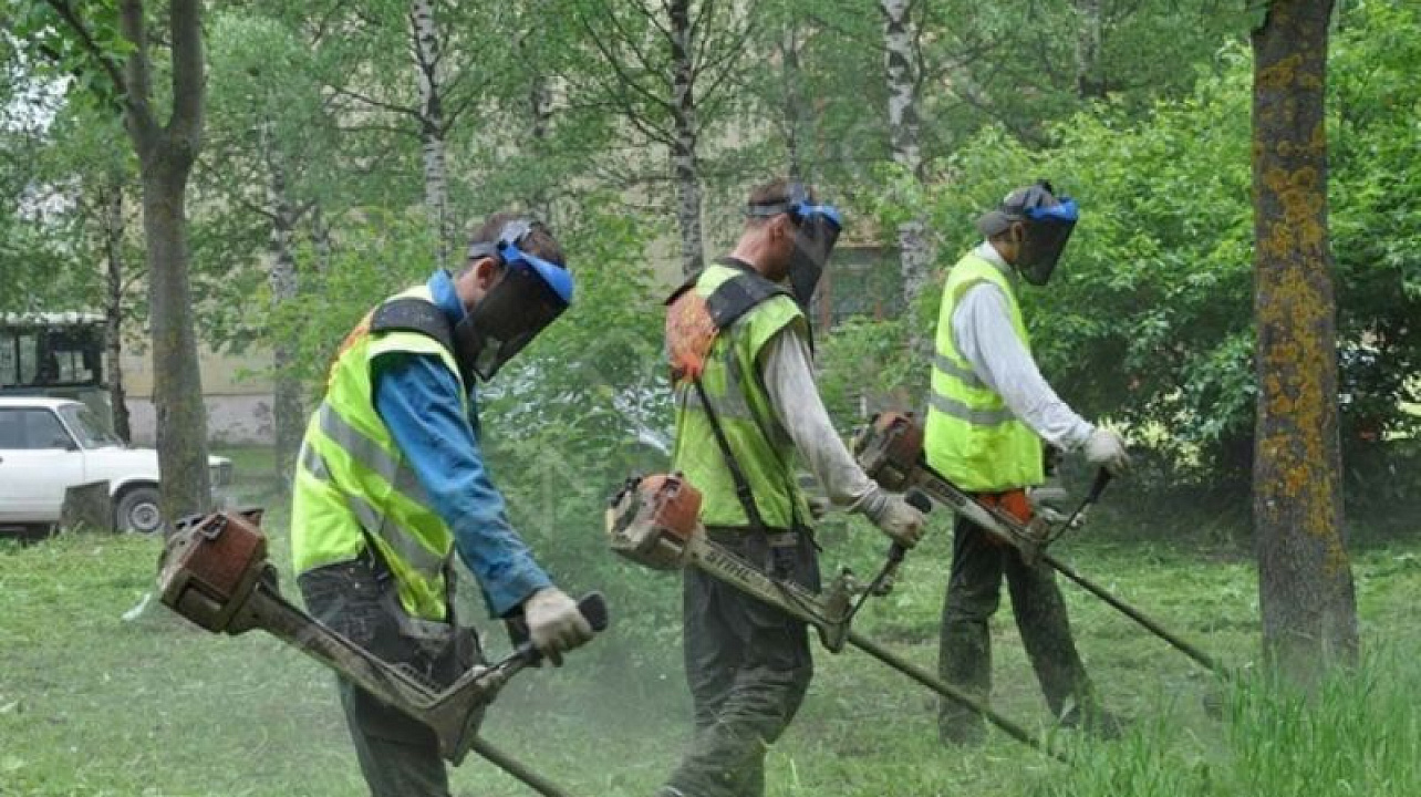 В Центральном округе продолжается борьба с сорной растительностью