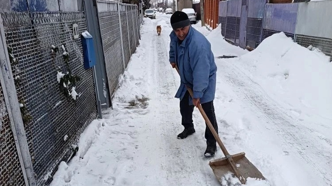 Фото: председатели ТОС Центрального округа
