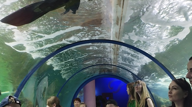 Комиссией по делам несовершеннолетних и защите их прав округа ведётся работа по вовлечению подростков в различные формы занятости 