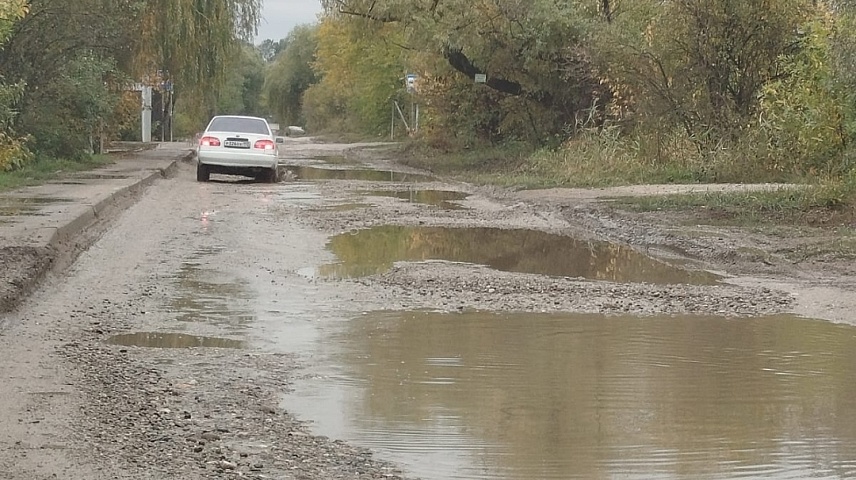 Фото: Зацепина Е.С.