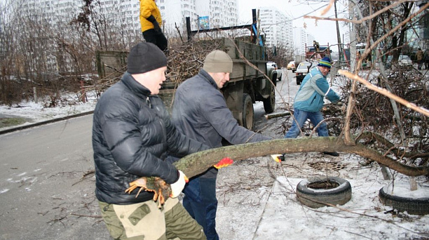 6573 кубометров распиленных деревьев и веток вывезено в Прикубанском округе