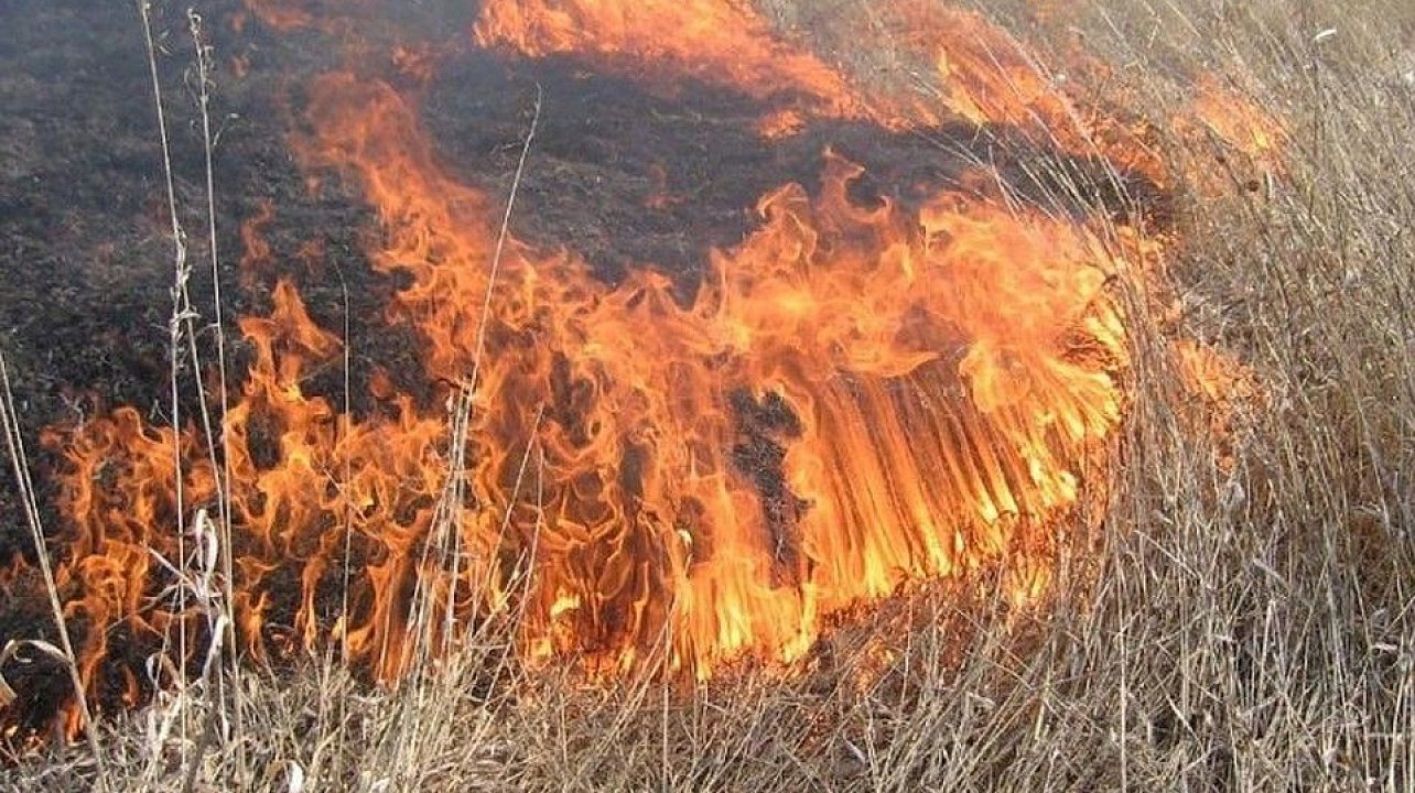 Администрация Западного округа информирует