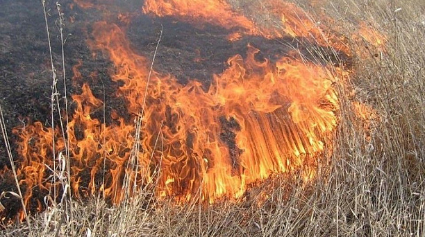 Администрация Западного округа информирует