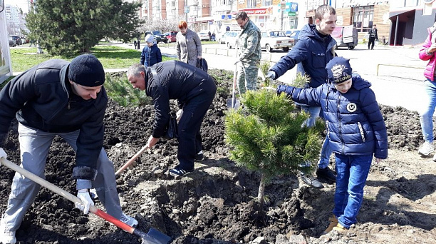 В Юбилейном микрорайоне высажены новые деревья
