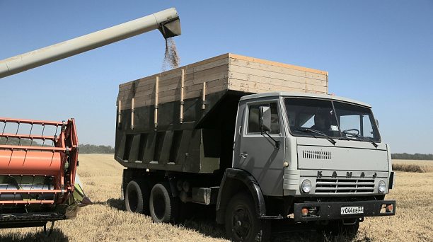 На полях Краснодара собрано более 72,8 тыс. тонн зерна