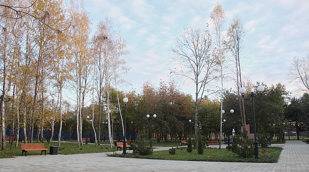 Краснодарцы могут проголосовать за зеленые зоны для благоустройства в 2022 году до 30 мая