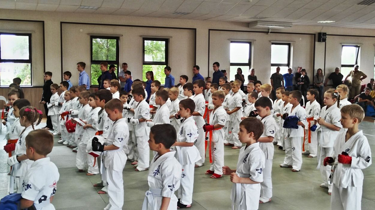 В Западном округе прошли соревнования на кубок главы округа по каратэ