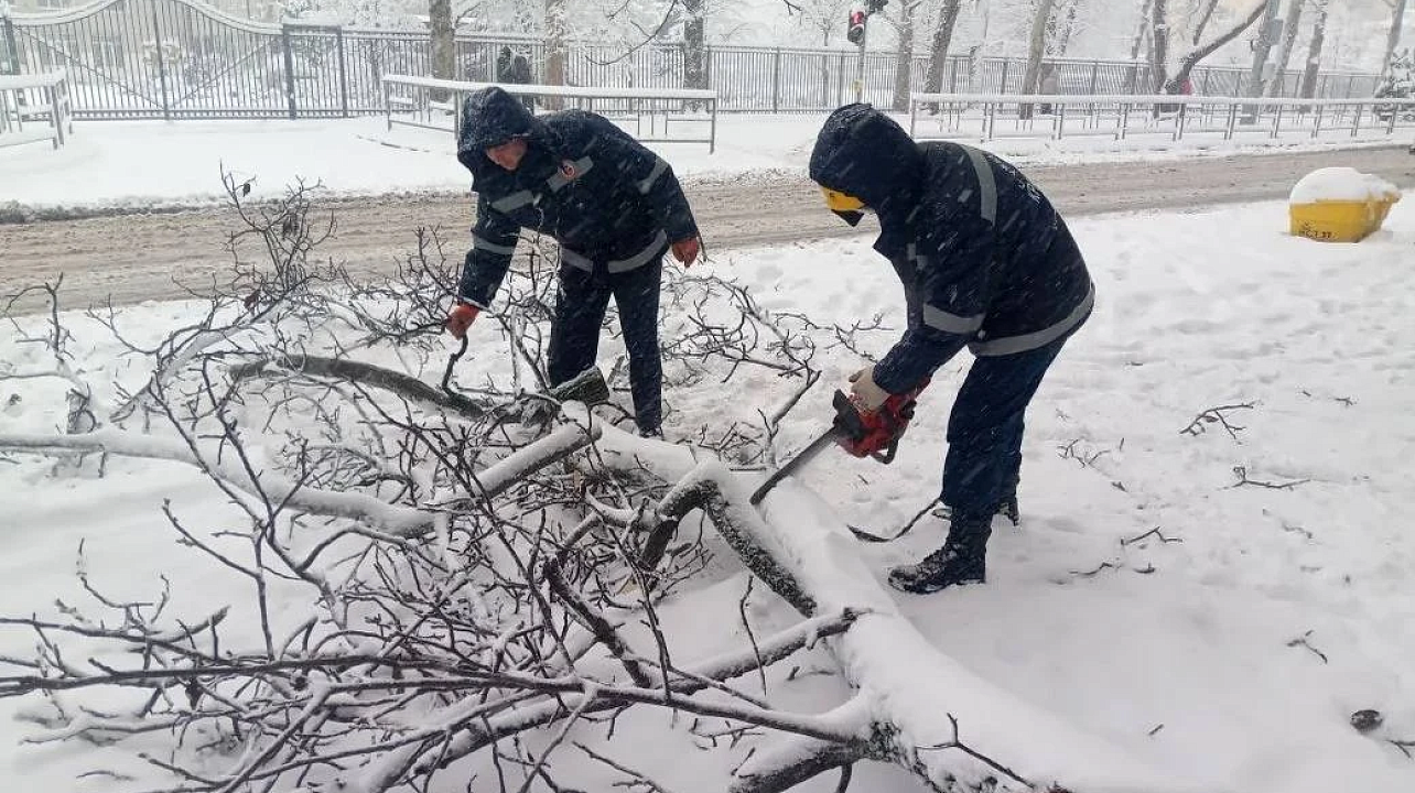 Фото: max.ru/emnaumov