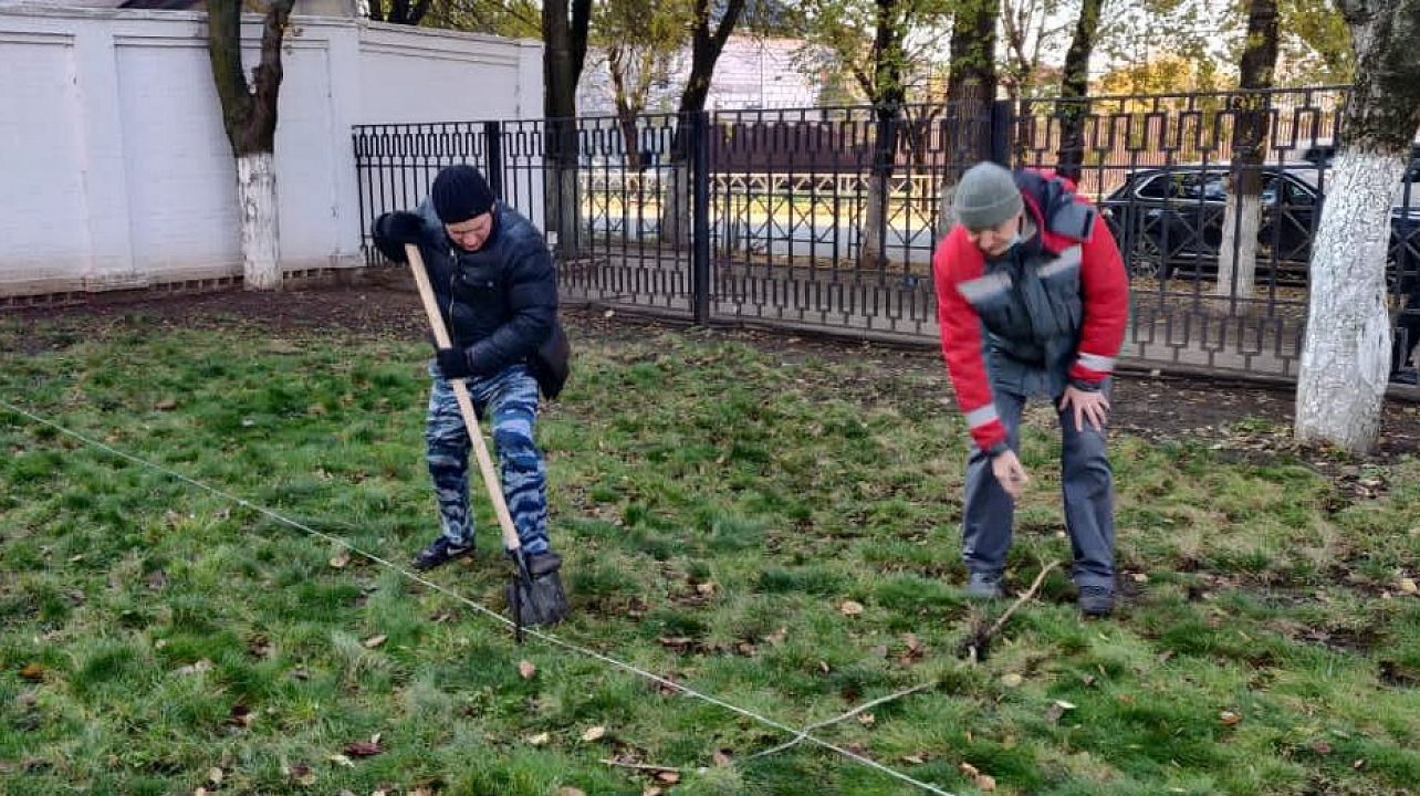 В Центральном округе продолжается акция «Краснодару -10 000 деревьев»