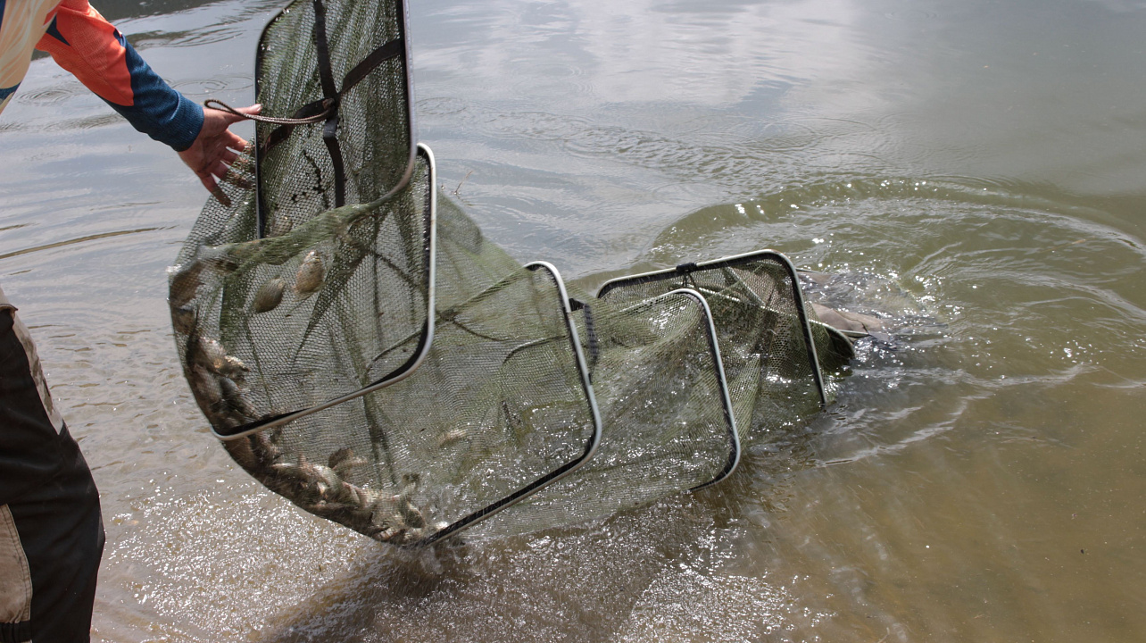 Рыбалке все возрасты покорны