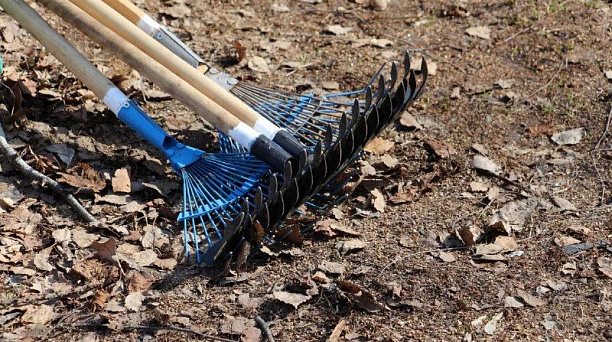 В Краснодаре в преддверии Дня города пройдут общегородской месячник и субботник