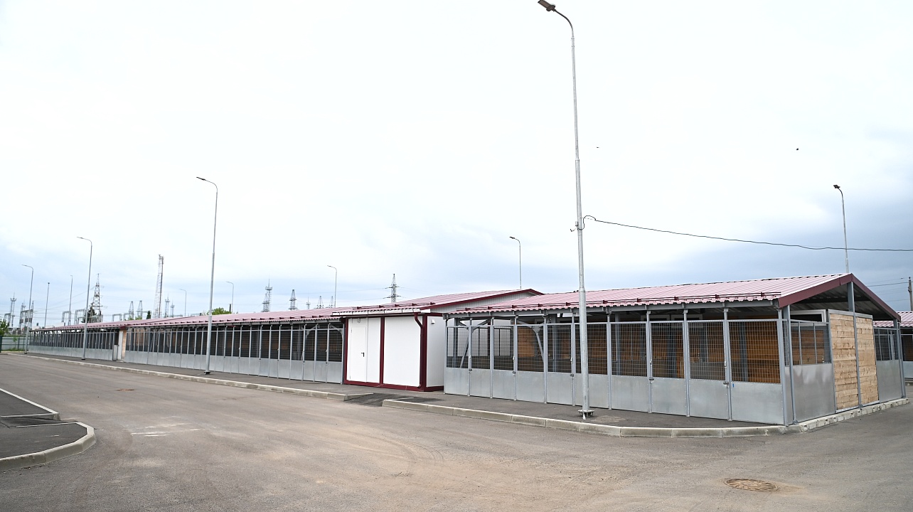 Фото: Андрей Зубов