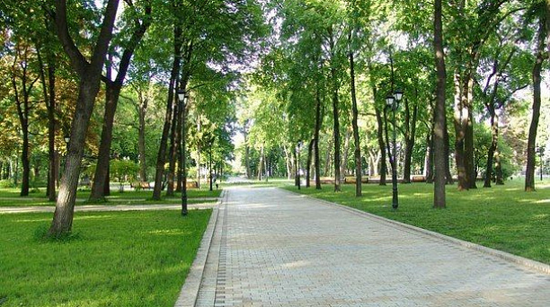 В Краснодаре продолжается работа по наименованию зеленых зон