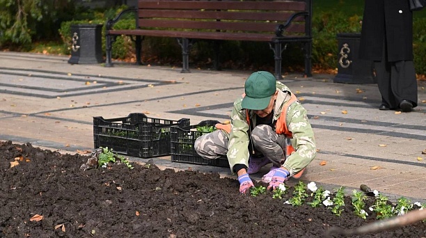 Евгений Наумов: В Краснодаре идёт высадка более 300 тысяч цветов 