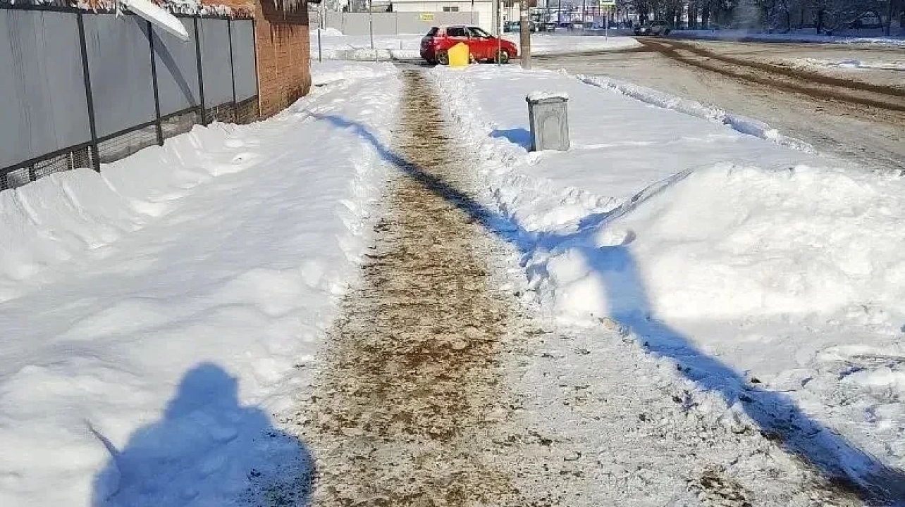 Фото: Пресс-служба администрации Краснодара