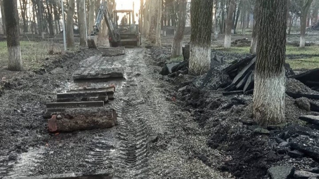 Фото: Пресс-служба администрации Краснодара