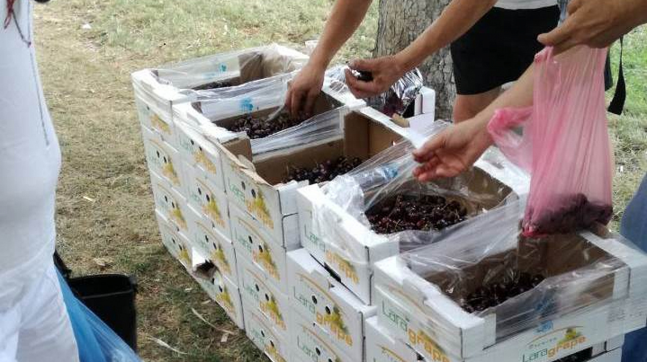 В Западном округе продолжается работа по пресечению «стихийной торговли»