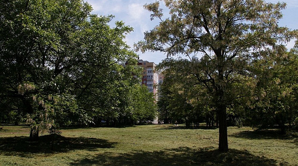 Новые скверы и бульвары: какие зеленые зоны Краснодара благоустроят в 2021 году