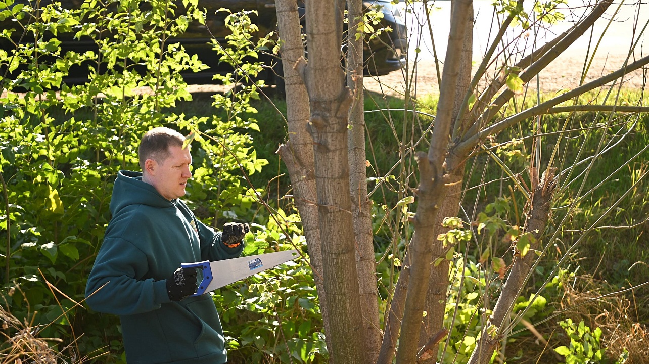 Фото: Андрей Зубов