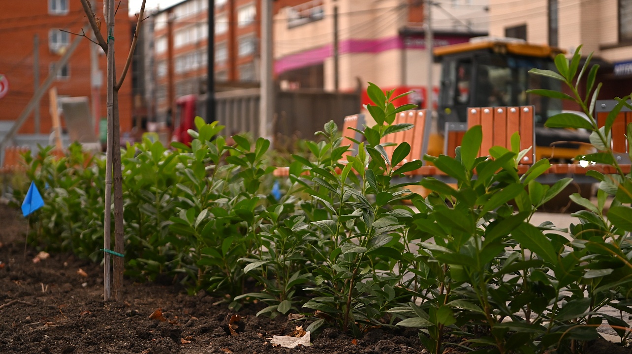 Фото: Андрей Зубов