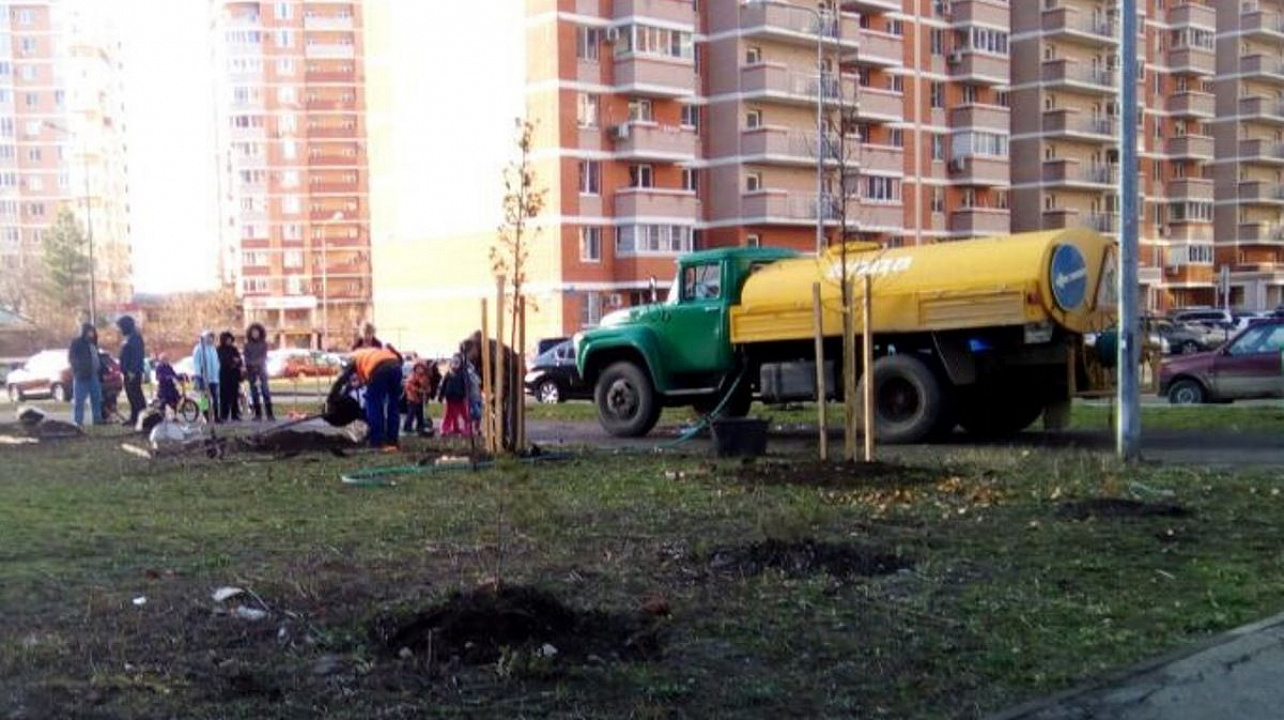В Западном округе высадили новые деревья