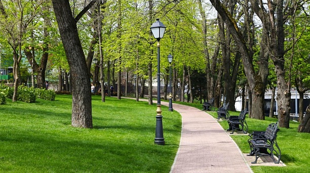 Шесть зелёных зон выбрали для рейтингового голосования по благоустройству