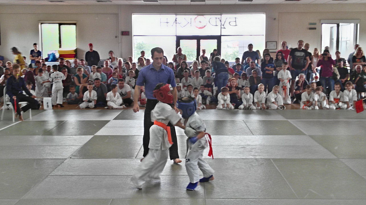 В Западном округе прошли соревнования на кубок главы округа по каратэ