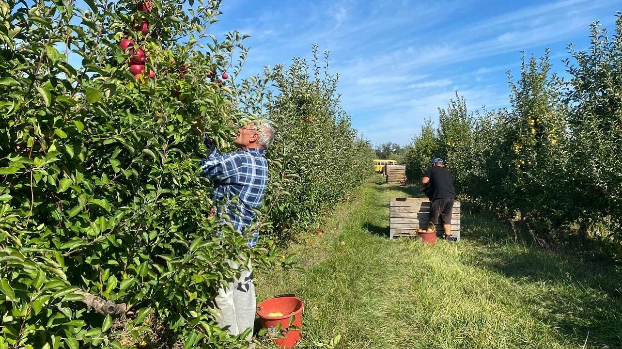 Фото: Пресс-служба администрации Краснодара