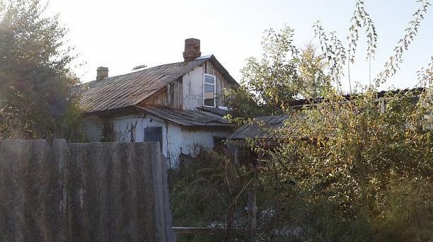 Приют для бездомных животных может быть построен в пос. Краснолит под Краснодаром