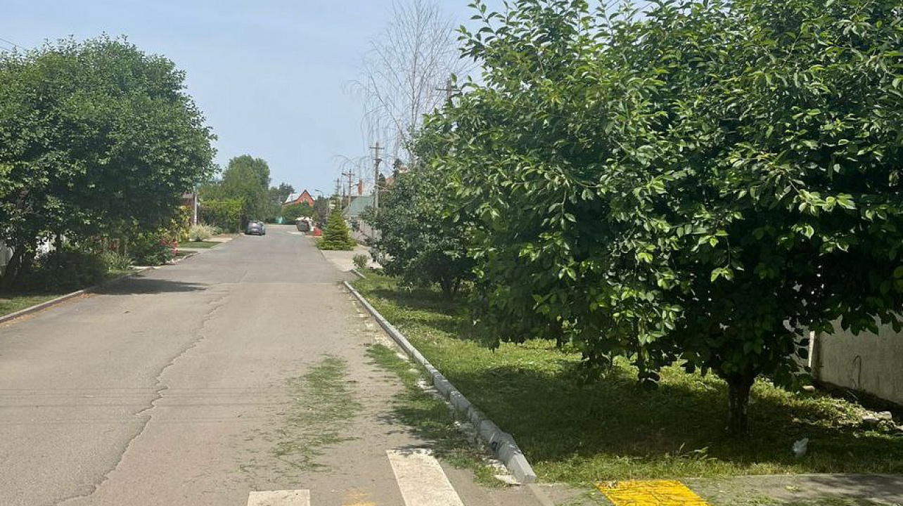 В Прикубанском округе с конца апреля и по сегодняшний день скошено 280 гектаров амброзии и другой сорной растительности.