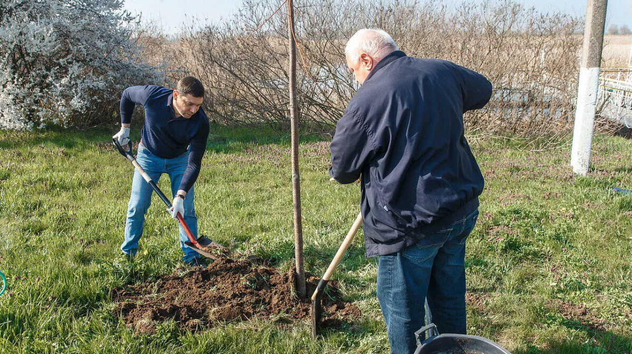Фото: Даниил Коноплев