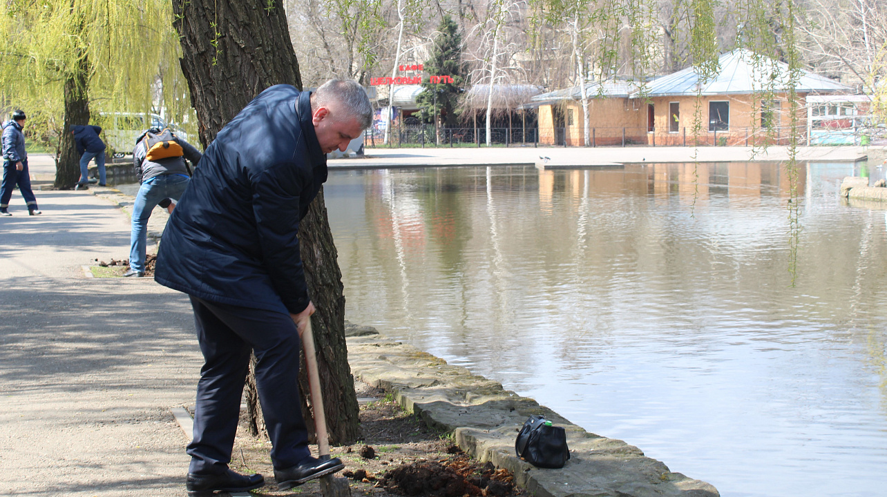 Глава Западного округа Краснодара поддержал челлендж Евгения Первышова по высадке  новых деревьев