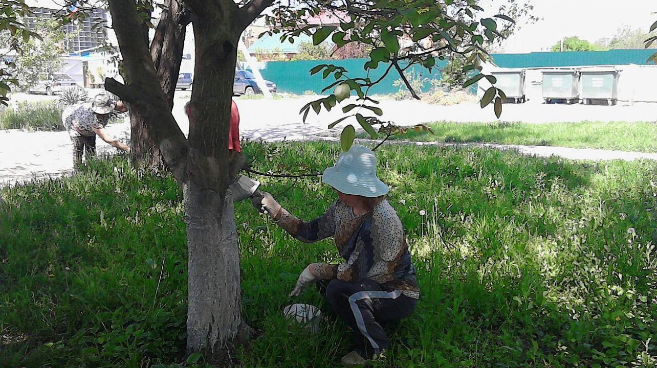 рикубанский округ преобразился  в преддверии 225-й годовщины Краснодара