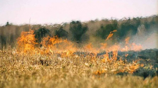 В Краснодаре и пригороде сохраняется чрезвычайная пожароопасность