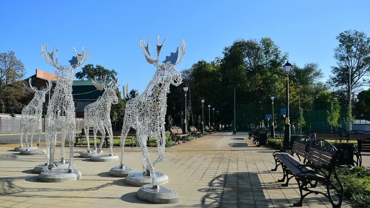 Фото: Пресс-служба администрации Краснодара