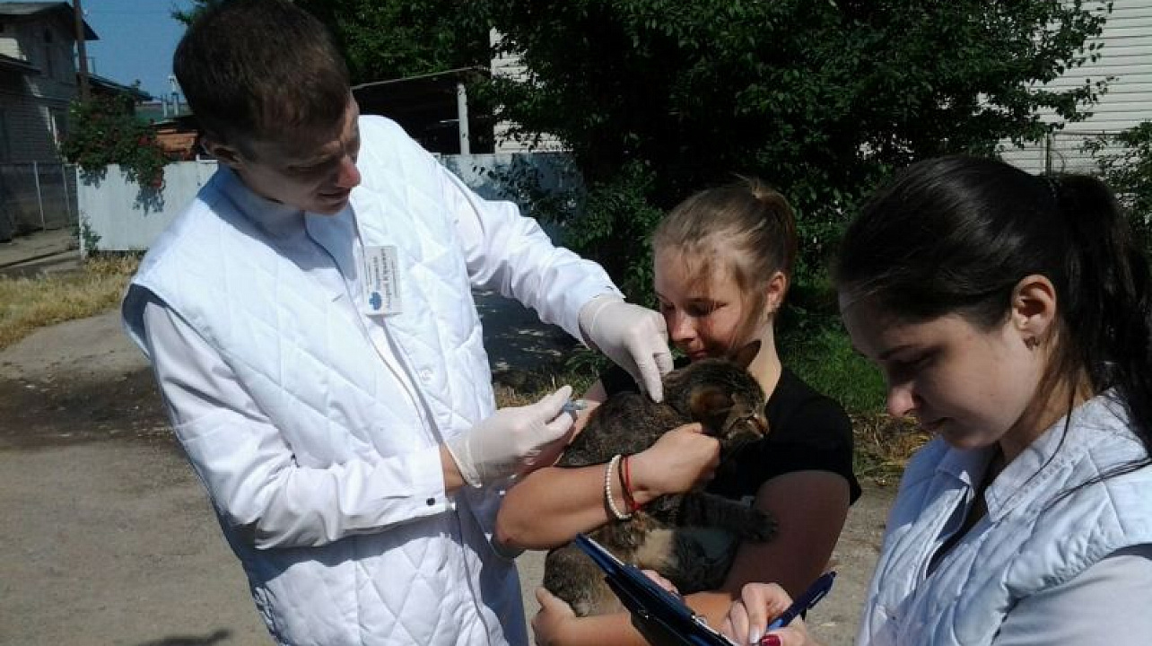 В Центральном округе прошла вакцинация животных