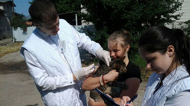 В Центральном округе прошла вакцинация животных