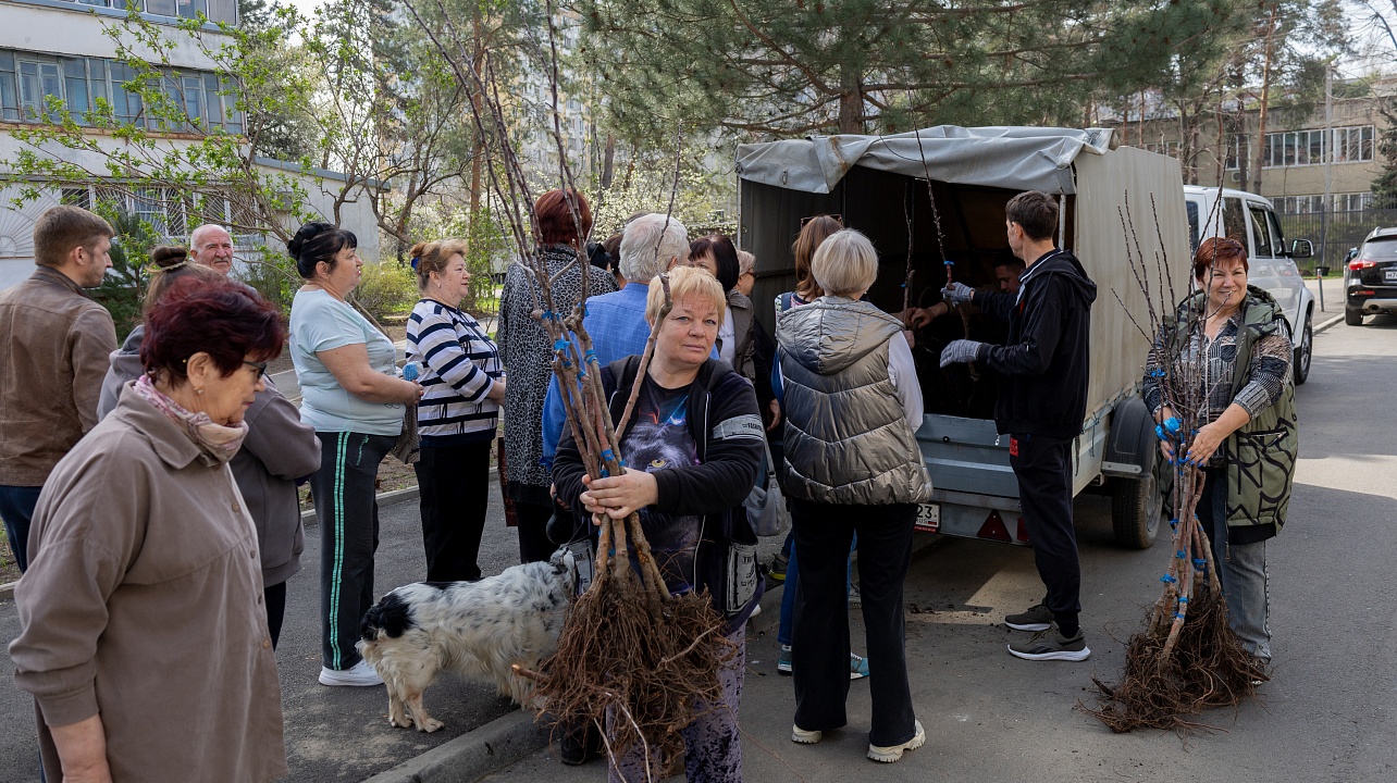 Фото: Пресс-служба городской Думы Краснодара