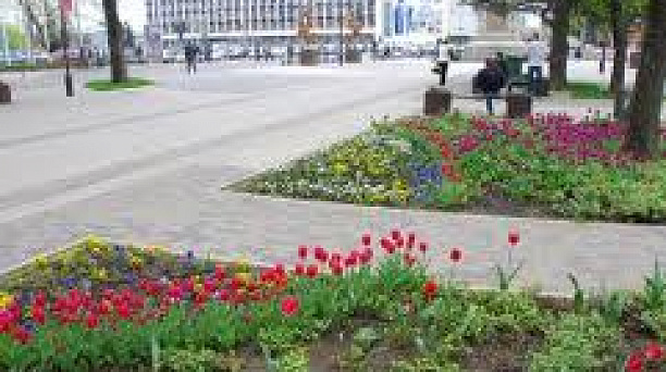 Победители окружных смотров готовы к городскому конкурсу ТОС