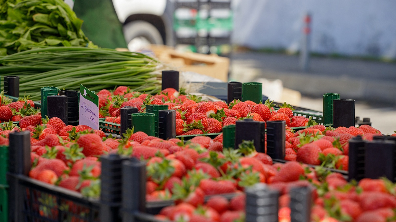 Фото: Алексей Куликов