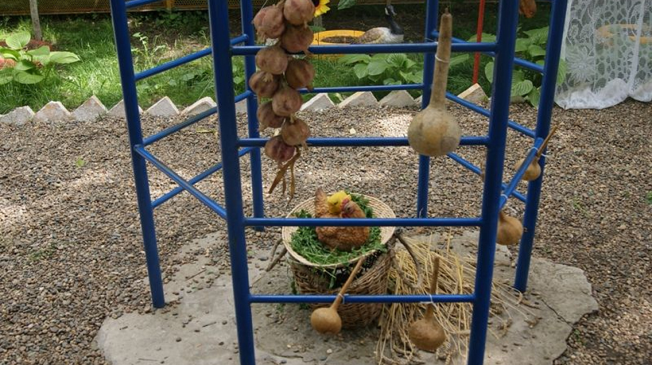 ТОСы Западного округа включились в борьбу за  городское первенство